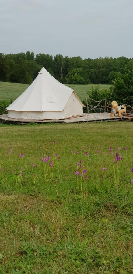 Camping La Petite Houmee Curzay-sur-Vonne 외부 사진